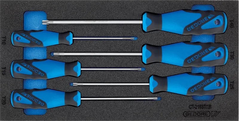 Schroevendraaierset Torx - 6-delig in 1/3 CT module - 2309157 by Gedore, Blue – product image