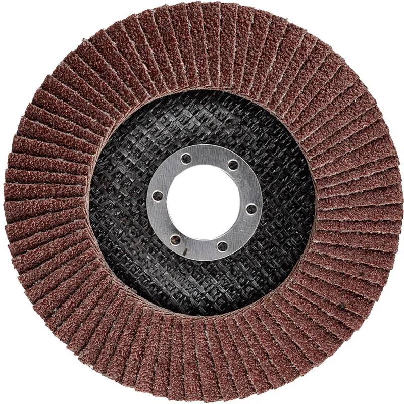 Lamellenschijf - 125 x 22,2 mm - P40 - Elektrokorund de Graphite – image du produit