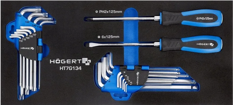 Gereedschapinzet: Torx, Hex & Schroevendraaiers (20-delig) de Högert – image du produit