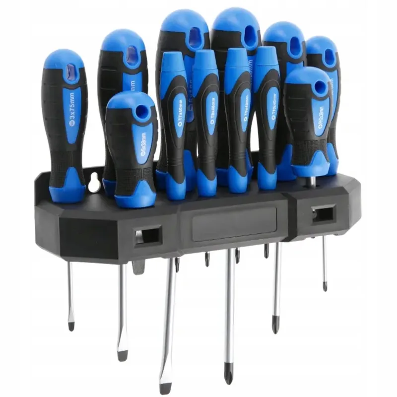 Magnetische Schroevendraaierset 12 Delig PH+SL CrV van Högert, Blauw – productafbeelding