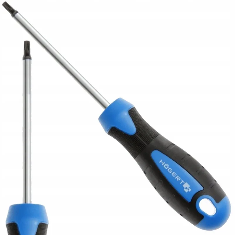 Torx Schroevendraaier T25 100mm S2 Staal Magnetische Punt by Högert – product image