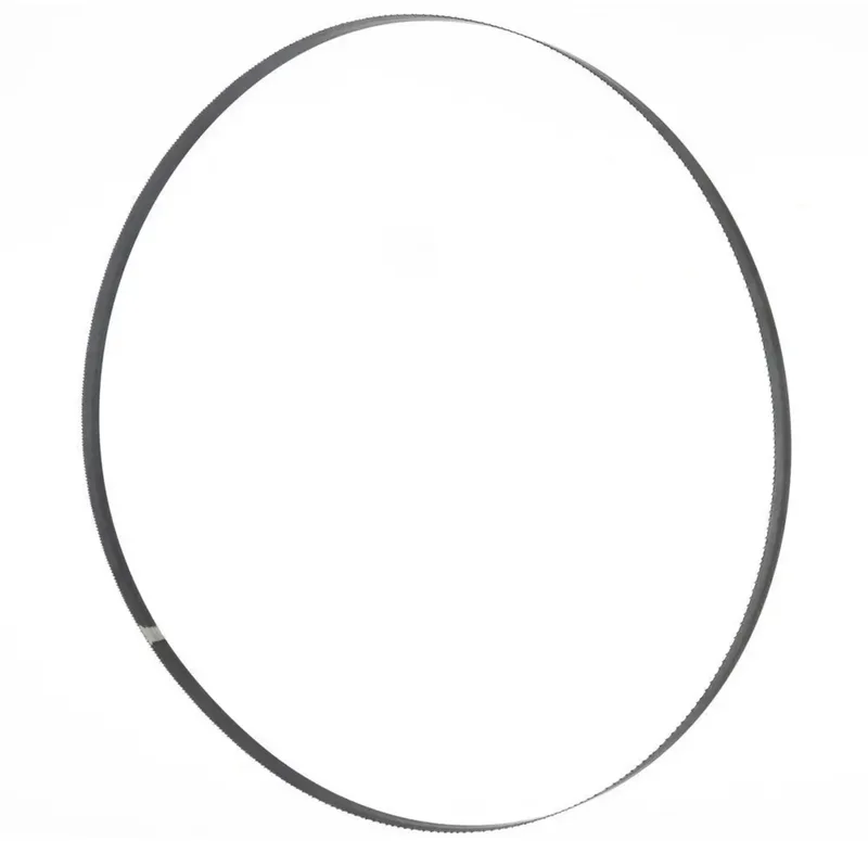 Bandsägeblatt 1575x10x0,36 mm 6 ZpZ Holzmann Maschinen BSB230B10 von Holzmann – Produktbild