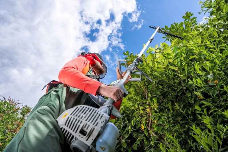 multitool IBKH 52-1 4-in-1: bosmaaier, grastrimmer, heggenschaar en hoogsnoeier de IKRA – image du produit 2 sur 5