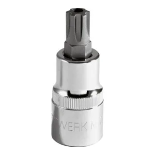 Kraftwerk 1/2" Loch-RIBE-Bit-Stecknuss M7 von KRAFTWERK – Produktbild