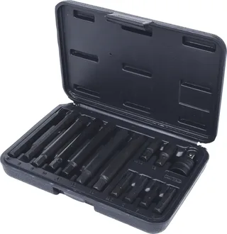KS Tools 911.4306 5/16 RIBE® Bit-Satz, 14-tlg von KS Tools – Produktbild 1 von 2