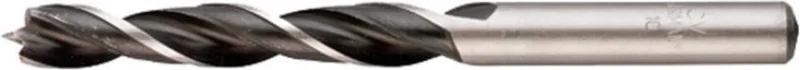 Houtspiraalboor op Kaart - 10 mm by KWB – product image 1 of 3