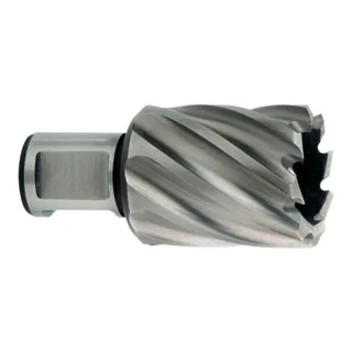 HSS-Kernbohrer 17x30 mm, Weldonschaft 19 mm (3/4") by Metabo – product image