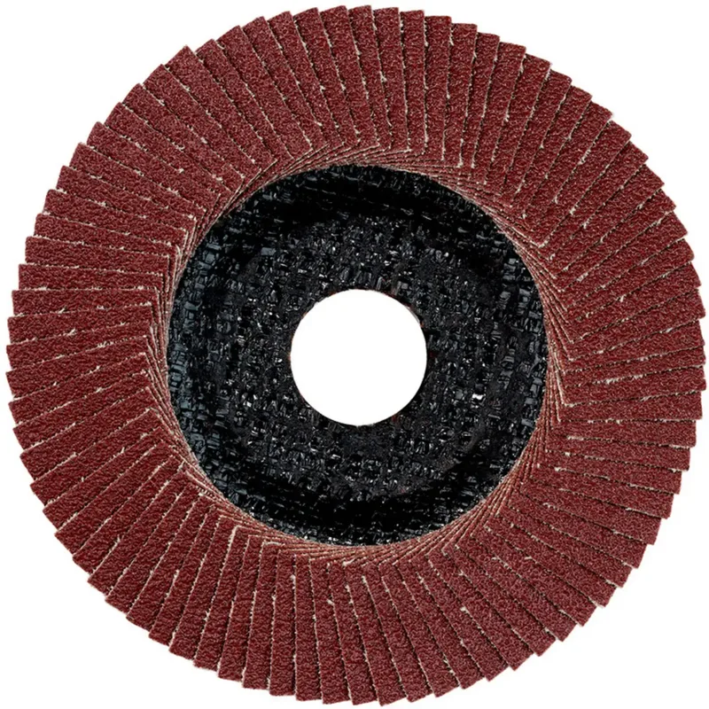 Metabo 624397000 Lamellenschijf Boordiameter 22.23 mm Korrelgrootte (num) 80 10 stuk(s) de Metabo – image du produit