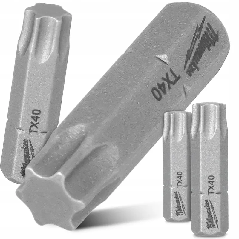 Torx TX40 Bits 25mm Magnetisch (2 Stuks) by Milwaukee – product image