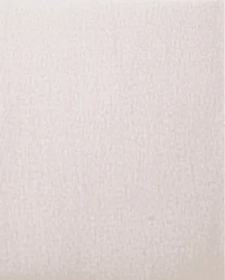 TOOLS BP ECO AC 230X280 A 1000 45015253 Papier abrasif Grain 1000 (L x l) 280 mm x 230 mm 50 pc(s) de PFERD – image du produit 1 sur 2