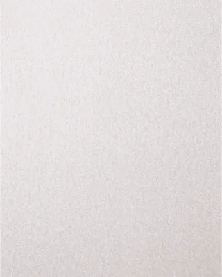 TOOLS BP ECO AC 230X280 A 220 45015247 Papier abrasif Grain 220 (L x l) 280 mm x 230 mm 50 pc(s) de PFERD – image du produit 1 sur 2