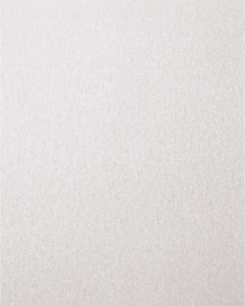 TOOLS BP ECO AC 230X280 A 220 45015247 Papier abrasif Grain 220 (L x l) 280 mm x 230 mm 50 pc(s) de PFERD – image du produit 1 sur 2