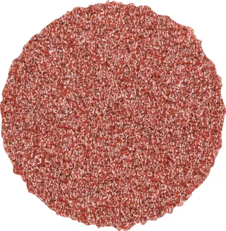 CD 20 A 80 42750208 Schleifblatt Körnung (num) 80 (Ø) 20 mm 100 St. de PFERD – image du produit 1 sur 2
