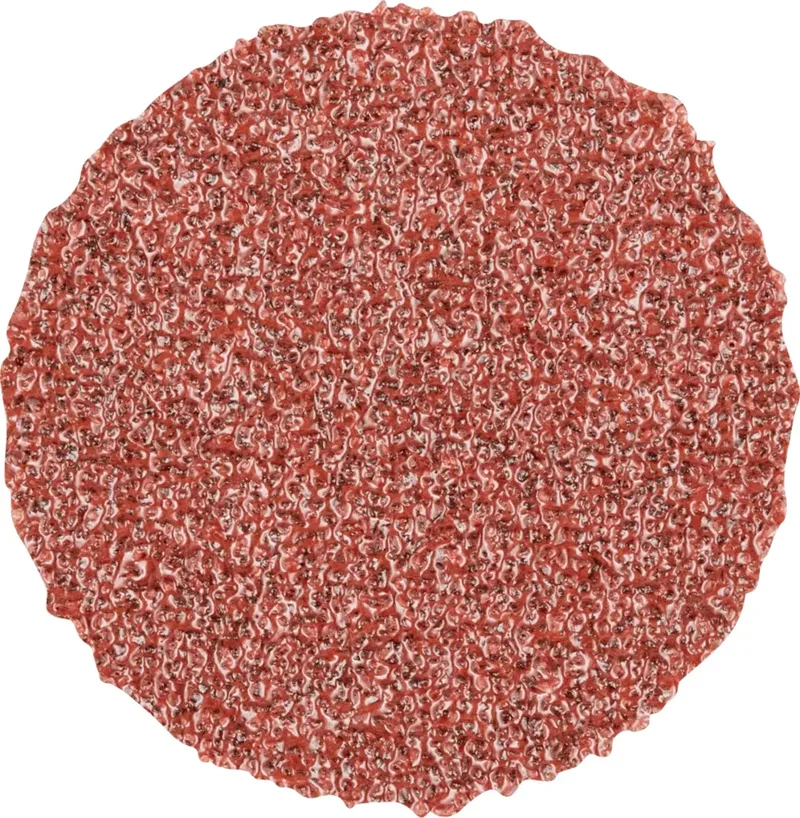 CD 20 A 80 42750208 Schleifblatt Körnung (num) 80 (Ø) 20 mm 100 St. de PFERD – image du produit 1 sur 2