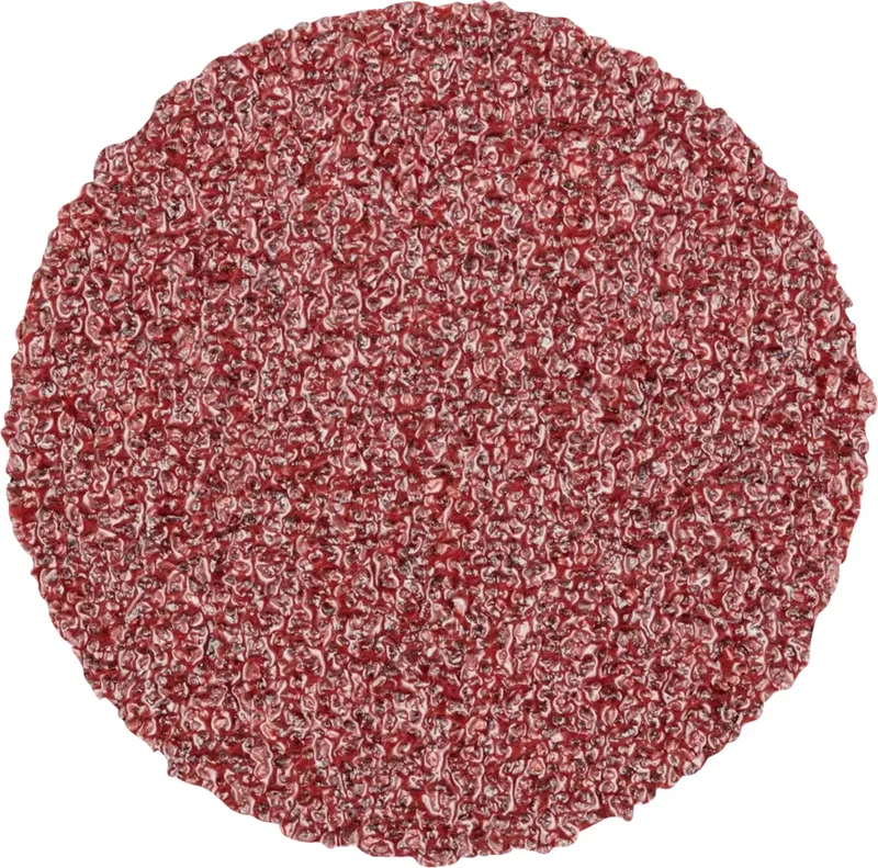 CD 25 A 60 FORTE 42751306 Schleifblatt Körnung (num) 60 (Ø) 25 mm 100 St. von PFERD – Produktbild 1 von 2