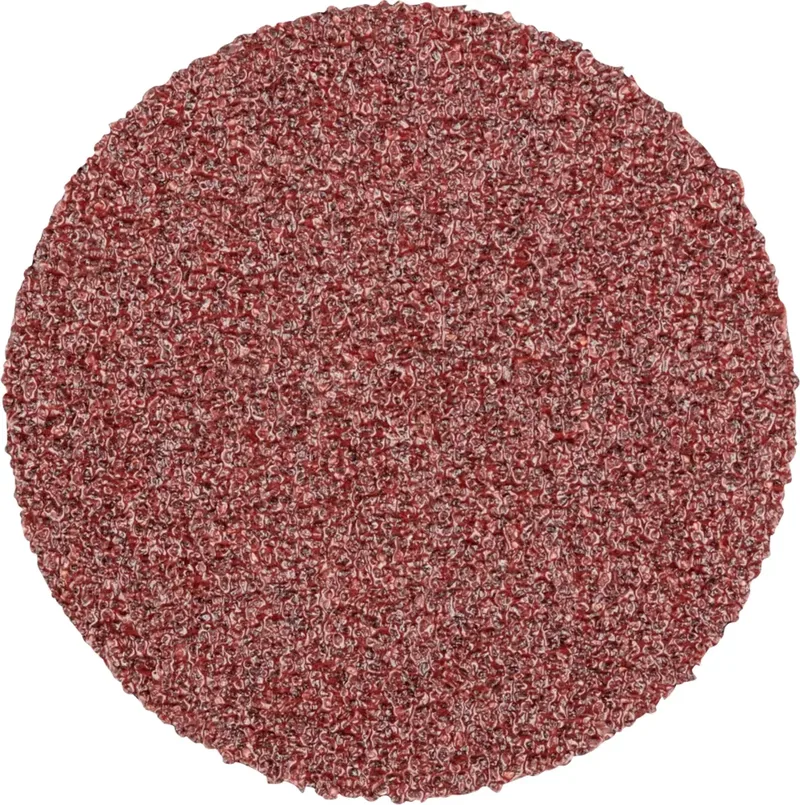 CD 25 A 80 FORTE 42751308 Schleifblatt Körnung (num) 80 (Ø) 25 mm 100 St. de PFERD – image du produit 1 sur 2