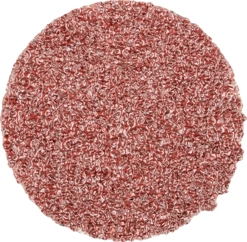 CD 38 A 36 FORTE 42751403 Schleifblatt Körnung (num) 36 (Ø) 38 mm 100 St. de PFERD – image du produit 1 sur 2
