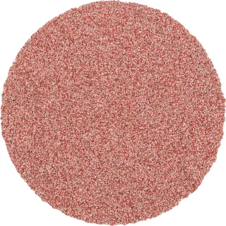 CD 38 A 80 FLEX 42757408 Schleifblatt Körnung (num) 80 (Ø) 38 mm 100 St. by PFERD – product image 1 of 2