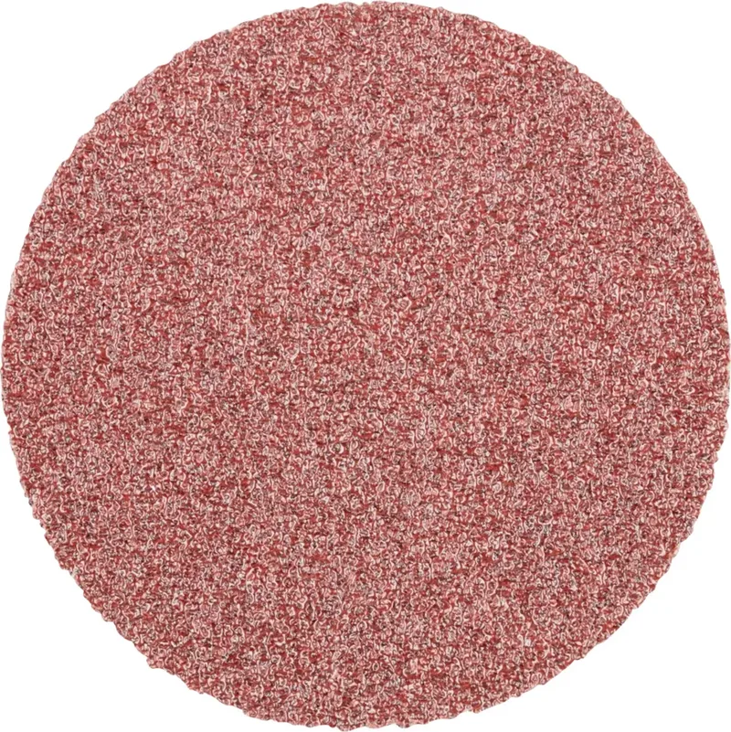 CD 38 A 80 FORTE 42751408 Schleifblatt Körnung (num) 80 (Ø) 38 mm 100 St. de PFERD – image du produit 1 sur 2