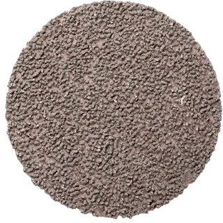TOOLS CD 50 A 1200 CK 42755120 Feuille abrasive Grain 1200 (Ø) 50 mm 100 pc(s) de PFERD – image du produit 2 sur 2