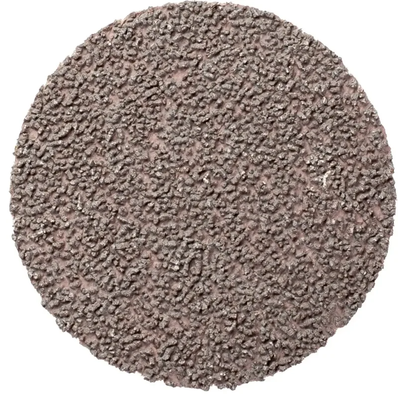 TOOLS CD 50 A 1200 CK 42755120 Feuille abrasive Grain 1200 (Ø) 50 mm 100 pc(s) de PFERD – image du produit 2 sur 2