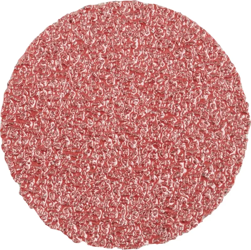CD 50 A 36 FORTE 42751503 Schleifblatt Körnung (num) 36 (Ø) 50 mm 100 St. de PFERD – image du produit 1 sur 2