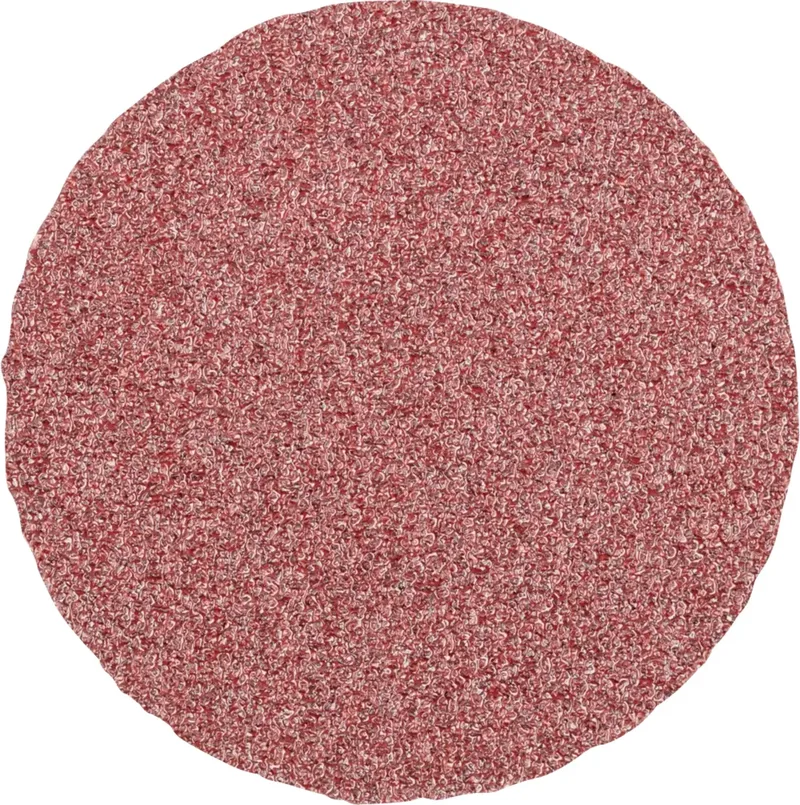 CD 50 A 60 FORTE 42751506 Schleifblatt Körnung (num) 60 (Ø) 50 mm 100 St. de PFERD – image du produit 1 sur 2