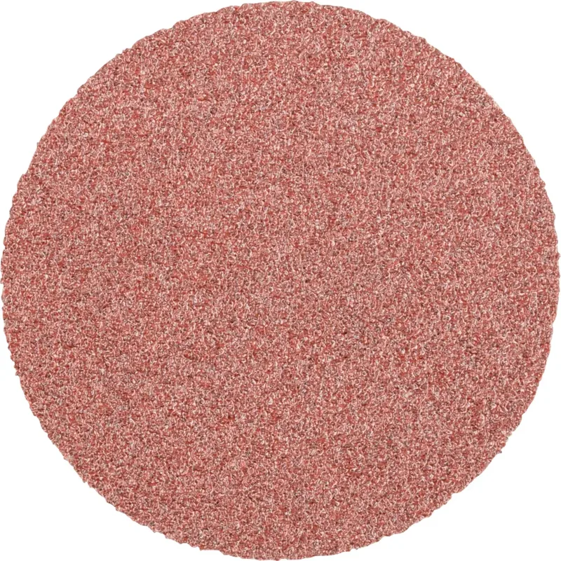 CD 50 A 80 FLEX 42757508 Schleifblatt Körnung (num) 80 (Ø) 50 mm 100 St. von PFERD – Produktbild 1 von 2