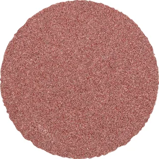 CD 50 A 80 FORTE 42751508 Schleifblatt Körnung (num) 80 (Ø) 50 mm 100 St. de PFERD – image du produit 1 sur 2