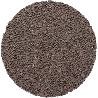 CD 50 A 800 CK 42755080 Schleifblatt Körnung (num) 800 (Ø) 50 mm 100 St. von PFERD – Produktbild 2 von 2