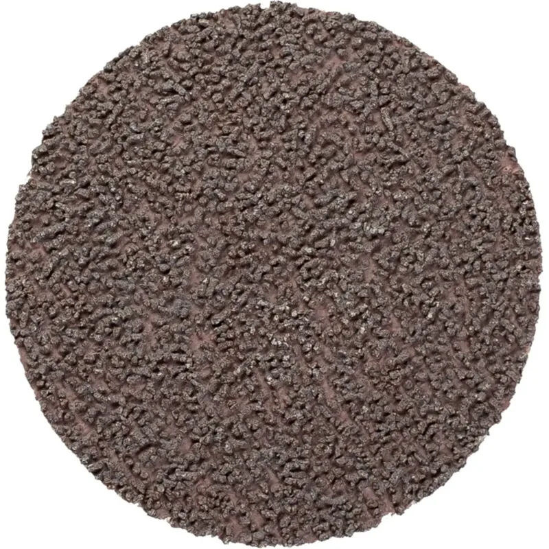 CD 50 A 800 CK 42755080 Schleifblatt Körnung (num) 800 (Ø) 50 mm 100 St. von PFERD – Produktbild 2 von 2