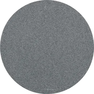 CD 50 SiC 240 42754524 Schleifblatt Körnung (num) 240 (Ø) 50 mm 100 St. de PFERD – image du produit 1 sur 2