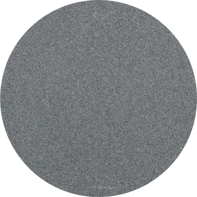 CD 50 SiC 240 42754524 Schleifblatt Körnung (num) 240 (Ø) 50 mm 100 St. de PFERD – image du produit 1 sur 2