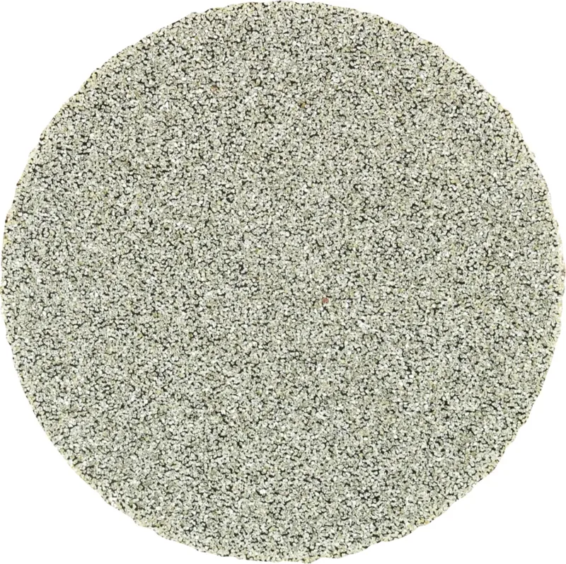 TOOLS CD DIA 25 D 126 - P 120 42740002 Feuille abrasive Grain 126 (Ø) 25 mm 10 pc(s) de PFERD – image du produit 1 sur 2