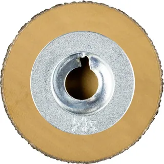 CD DIA 25 D 251 - P 60 42740001 Schleifblatt Körnung (num) 251 (Ø) 25 mm 10 St. von PFERD – Produktbild 2 von 2