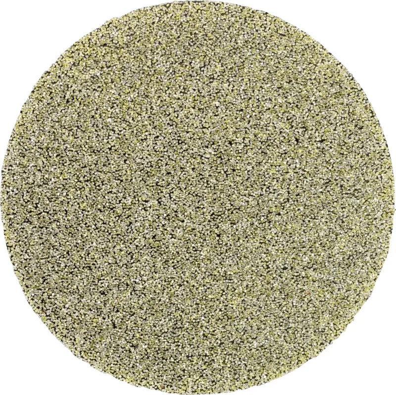 CD DIA 50 D 251 - P 60 42740007 Schleifblatt Körnung (num) 251 (Ø) 50 mm 10 St. de PFERD – image du produit 1 sur 2