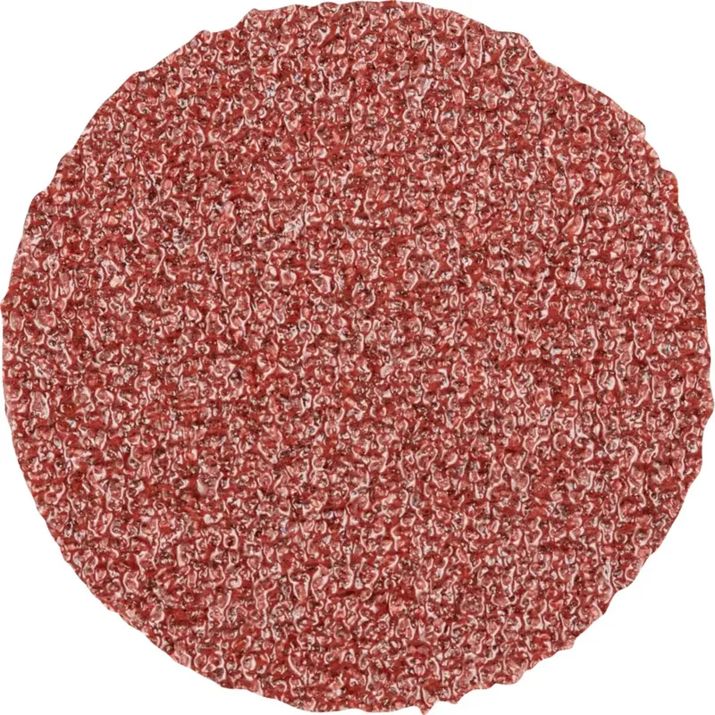 CDR 20 A 80 42770208 Schleifblatt Körnung (num) 80 (Ø) 20 mm 100 St. von PFERD – Produktbild 1 von 2