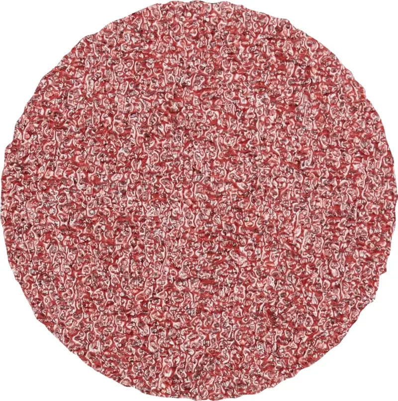 CDR 25 A 60 FORTE 42771306 Schleifblatt Körnung (num) 60 (Ø) 25 mm 100 St. von PFERD – Produktbild 1 von 2