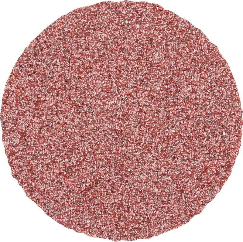 CDR 25 A 80 FORTE 42771308 Schleifblatt Körnung (num) 80 (Ø) 25 mm 100 St. von PFERD – Produktbild 1 von 2