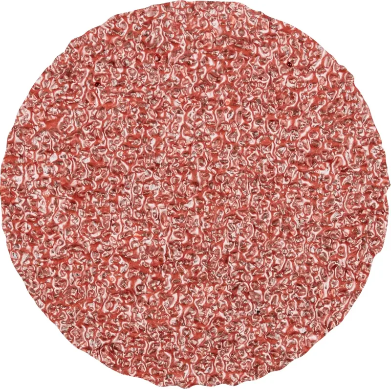 CDR 38 A 36 FORTE 42771403 Schleifblatt Körnung (num) 36 (Ø) 38 mm 100 St. fra PFERD – produktbillede 1 af 2