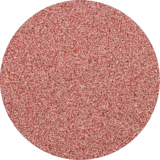 CDR 38 A 60 FORTE 42771406 Schleifblatt Körnung (num) 60 (Ø) 38 mm 100 St. de PFERD – image du produit 1 sur 2