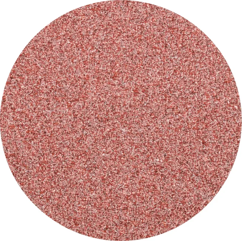 CDR 38 A 60 FORTE 42771406 Schleifblatt Körnung (num) 60 (Ø) 38 mm 100 St. de PFERD – image du produit 1 sur 2