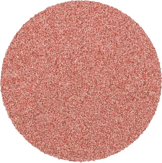 CDR 38 A 80 42770408 Schleifblatt Körnung (num) 80 (Ø) 38 mm 100 St. de PFERD – image du produit 1 sur 2
