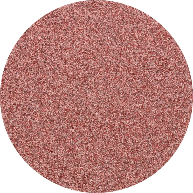 CDR 38 A 80 FORTE 42771408 Schleifblatt Körnung (num) 80 (Ø) 38 mm 100 St. de PFERD – image du produit 1 sur 2