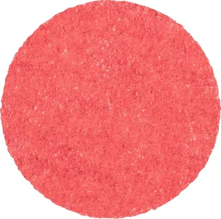 CDR 38 CO-COOL 80 42776408 Schleifblatt Körnung (num) 80 (Ø) 38 mm 100 St. de PFERD – image du produit 1 sur 2