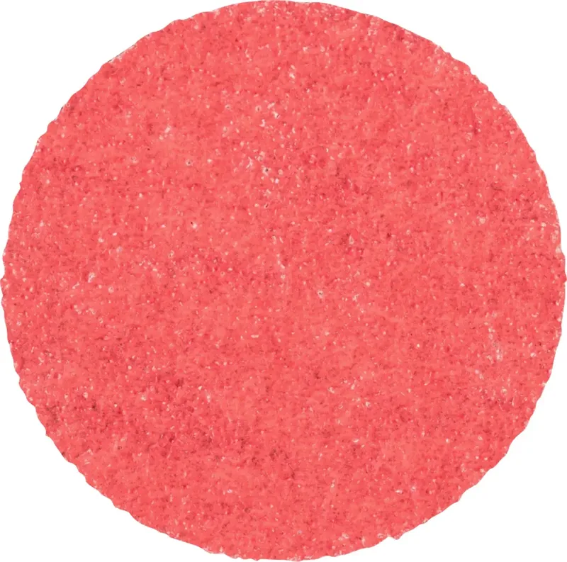 CDR 38 CO-COOL 80 42776408 Schleifblatt Körnung (num) 80 (Ø) 38 mm 100 St. de PFERD – image du produit 1 sur 2