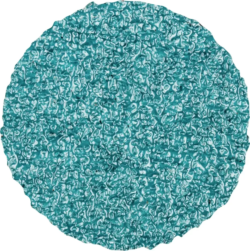 CDR 38 Z 36 42773403 Schleifblatt Körnung (num) 36 (Ø) 38 mm 100 St. von PFERD – Produktbild 1 von 2