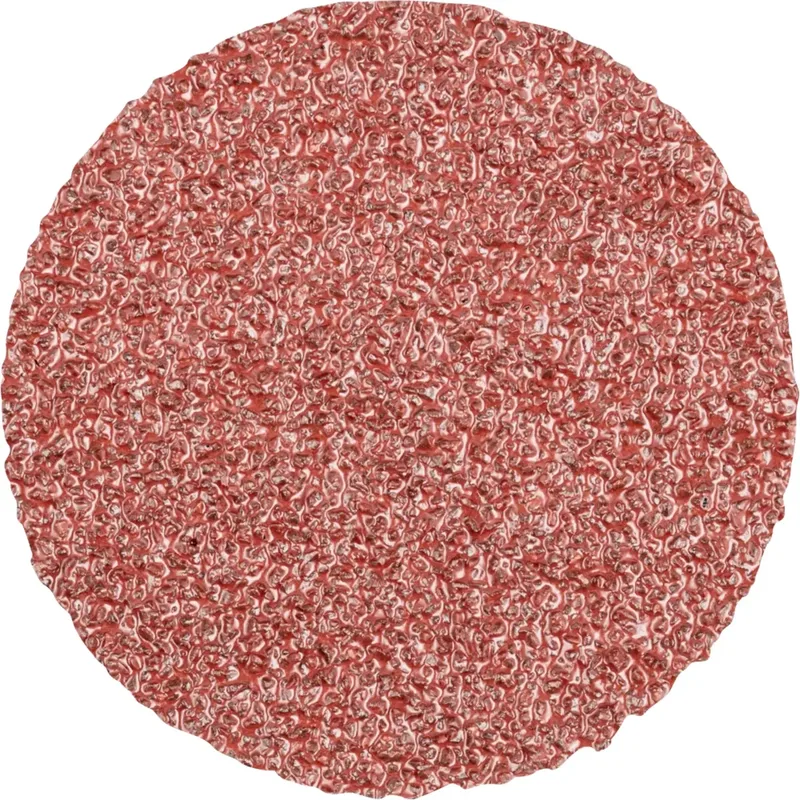 CDR 50 A 36 FORTE 42771503 Schleifblatt Körnung (num) 36 (Ø) 50 mm 100 St. de PFERD – image du produit 1 sur 2