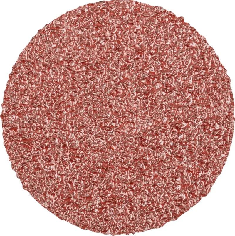 CDR 50 A 36 PLUS 42775503 Schleifblatt Körnung (num) 36 (Ø) 50 mm 100 St. von PFERD – Produktbild 1 von 2