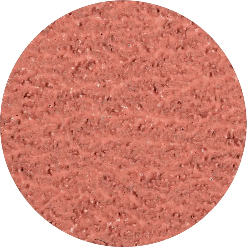 CDR 50 A-COOL 36 42772503 Schleifblatt Körnung (num) 36 (Ø) 50 mm 100 St. von PFERD – Produktbild 1 von 2